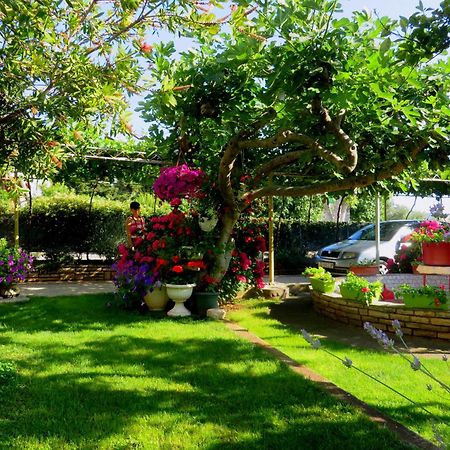 Beach Apartments Roza - The Garden Apartment บีโอกราดนาโมรู ภายนอก รูปภาพ