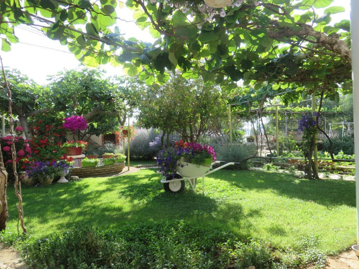 Beach Apartments Roza - The Garden Apartment บีโอกราดนาโมรู ภายนอก รูปภาพ