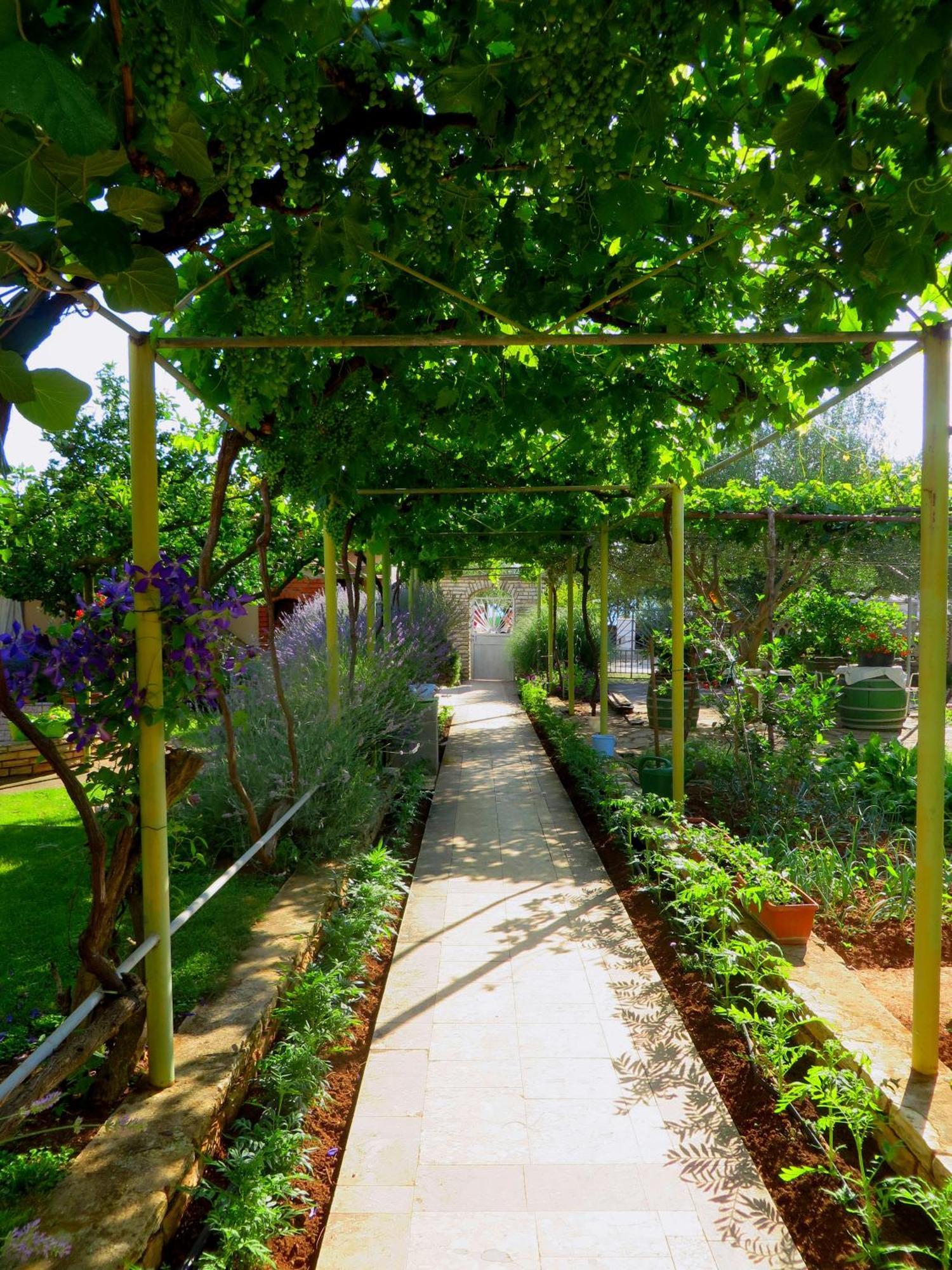 Beach Apartments Roza - The Garden Apartment บีโอกราดนาโมรู ภายนอก รูปภาพ