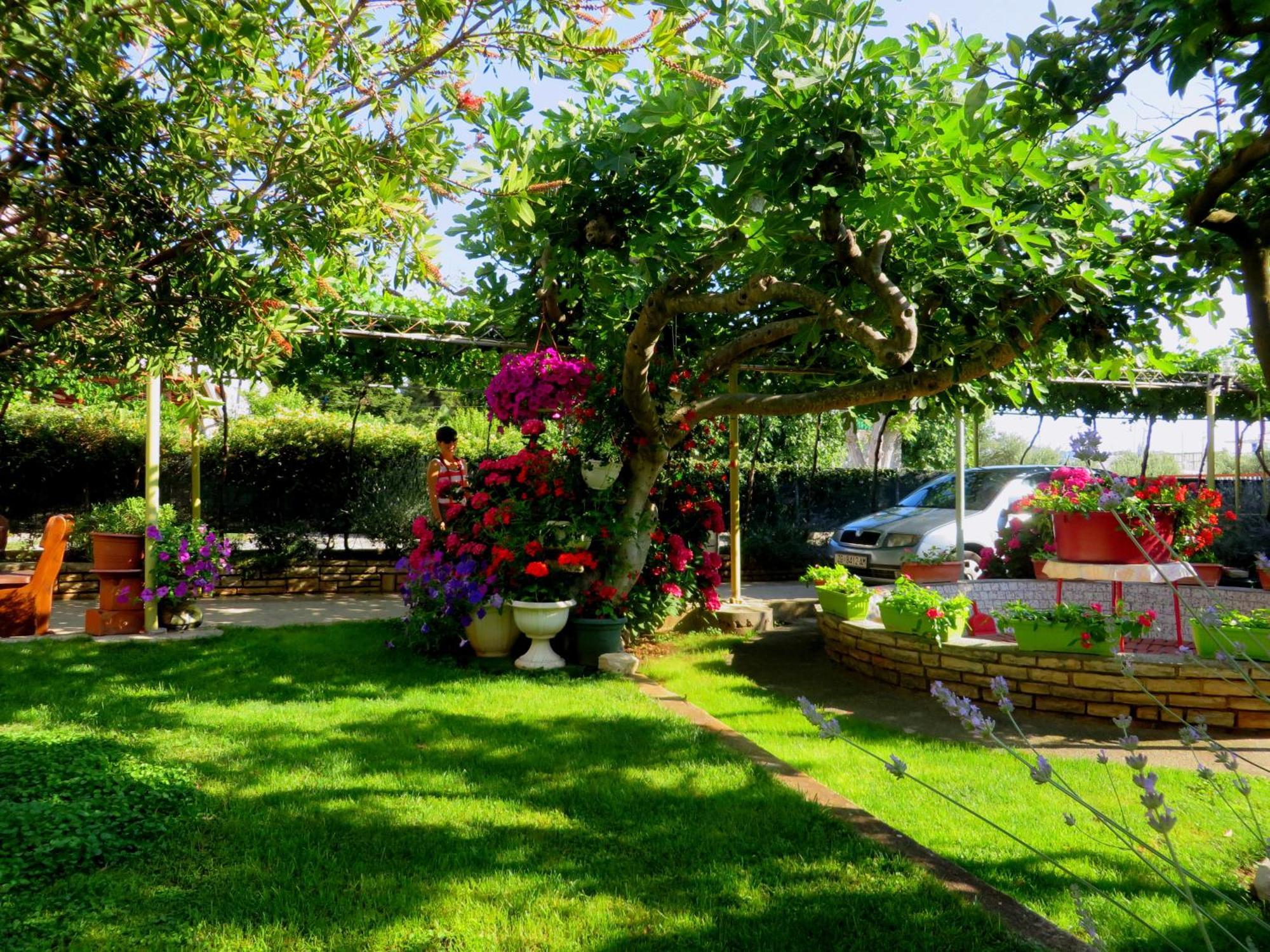 Beach Apartments Roza - The Garden Apartment บีโอกราดนาโมรู ภายนอก รูปภาพ