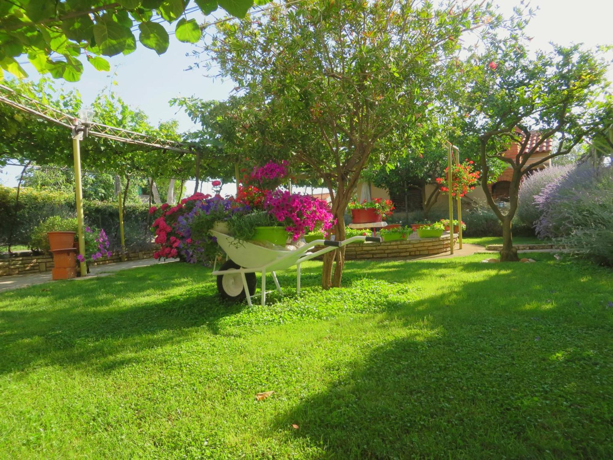 Beach Apartments Roza - The Garden Apartment บีโอกราดนาโมรู ภายนอก รูปภาพ